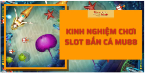 Kinh nghiệm chơi slot bắn cá mu88